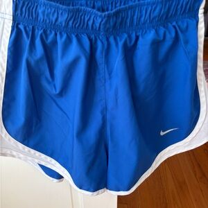 Nike Dri-FIT Blue Athletic Shorts
